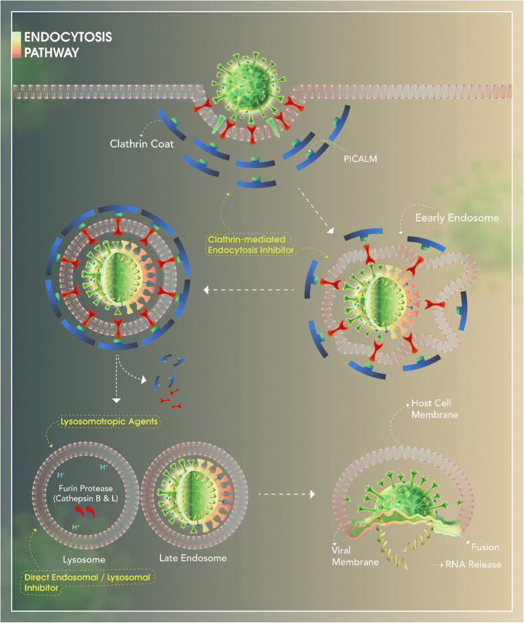 Classification of the present pharmaceutical agents based on the possible effective mechanism on the COVID-19 infection.
