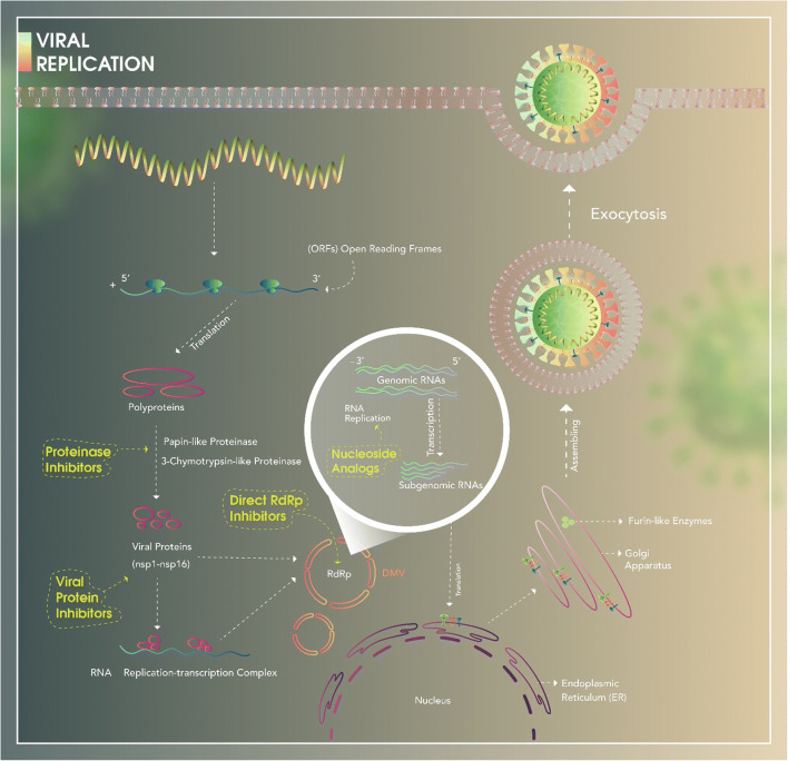 Classification of the present pharmaceutical agents based on the possible effective mechanism on the COVID-19 infection.