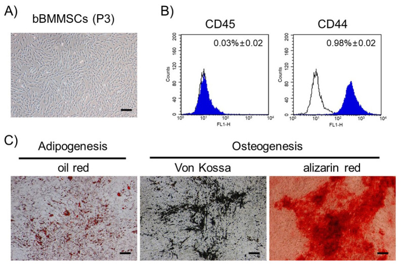 TATA box binding protein and ribosomal protein 4 are suitable reference genes for normalization during quantitative polymerase chain reaction study in bovine mesenchymal stem cells.