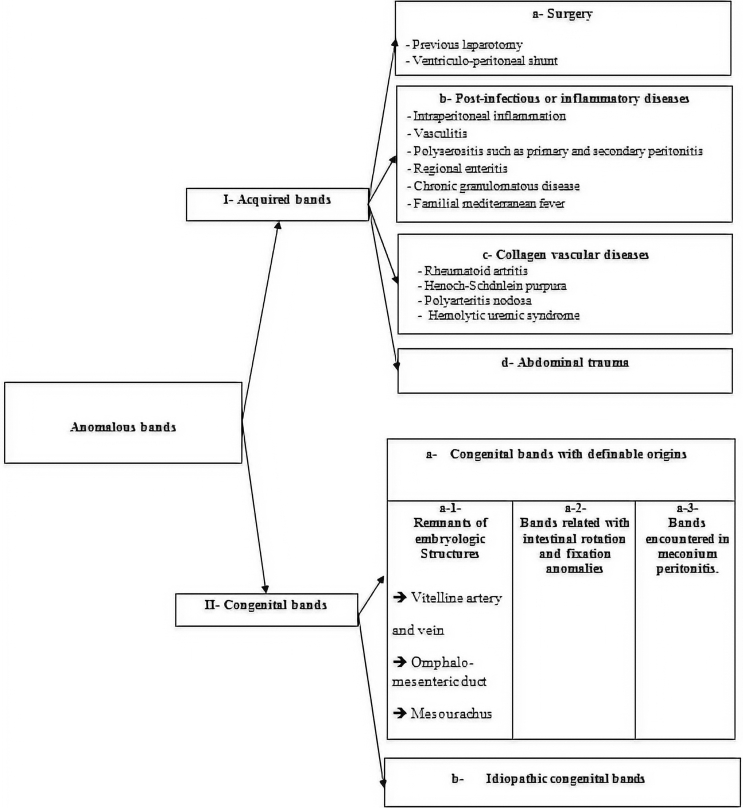 Idiopathic congenital anomalous bands: About ten cases with systematic review of the literature