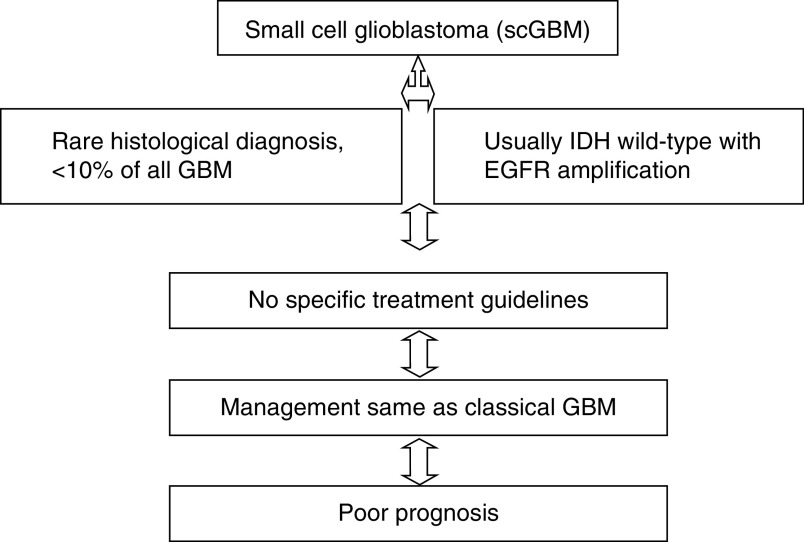 Small cell glioblastoma multiforme: a case series and clinicopathological update.