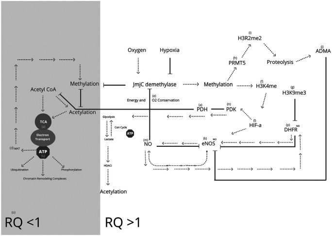 Advances in Nutritional Epigenetics-A Fresh Perspective for an Old Idea. Lessons Learned, Limitations, and Future Directions.