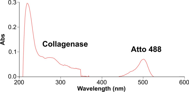 Engineered PLGA-PVP/VA based formulations to produce electro-drawn fast biodegradable microneedles for labile biomolecule delivery.