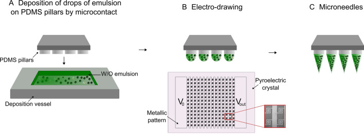 Engineered PLGA-PVP/VA based formulations to produce electro-drawn fast biodegradable microneedles for labile biomolecule delivery.