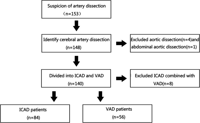 Predisposing factors and radiological features in patients with internal carotid artery dissection or vertebral artery dissection.