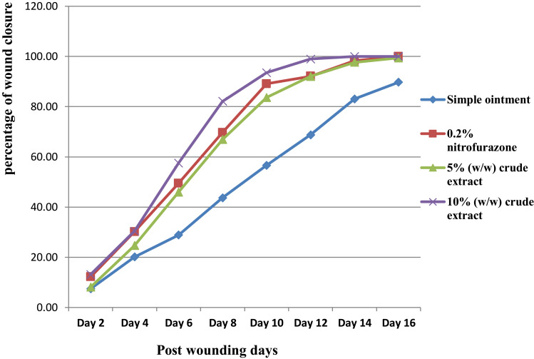 Wound Healing Effect of <i>Acokanthera schimperi</i> Schweinf (Apocynaceae) Methanol Leaf Extract Ointment in Mice and Its in-vitro Antioxidant Activity.