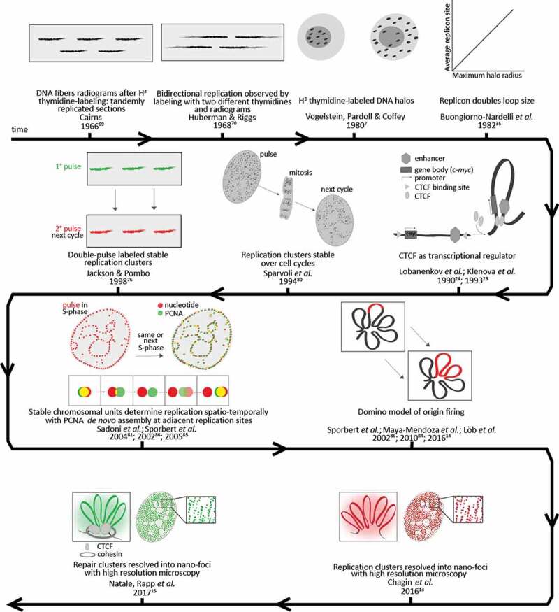 Are the processes of DNA replication and DNA repair reading a common structural chromatin unit?