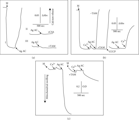 Interaction of Agaric Acid with the Adenine Nucleotide Translocase Induces Mitochondrial Oxidative Stress.