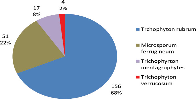 PREVALENCE, IDENTIFICATION AND ANTIFUNGAL SUSCEPTIBILITY OF DERMATOPHYTES CAUSING TINEA CAPITIS IN A LOCALITY OF NORTH CENTRAL NIGERIA.