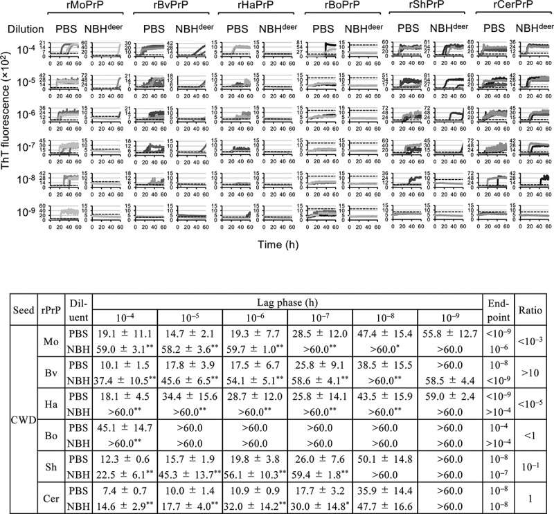 Involvement of N- and C-terminal region of recombinant cervid prion protein in its reactivity to CWD and atypical BSE prions in real-time quaking-induced conversion reaction in the presence of high concentrations of tissue homogenates.