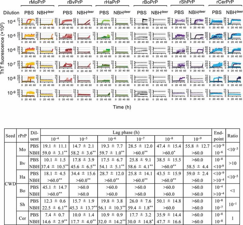 Involvement of N- and C-terminal region of recombinant cervid prion protein in its reactivity to CWD and atypical BSE prions in real-time quaking-induced conversion reaction in the presence of high concentrations of tissue homogenates.