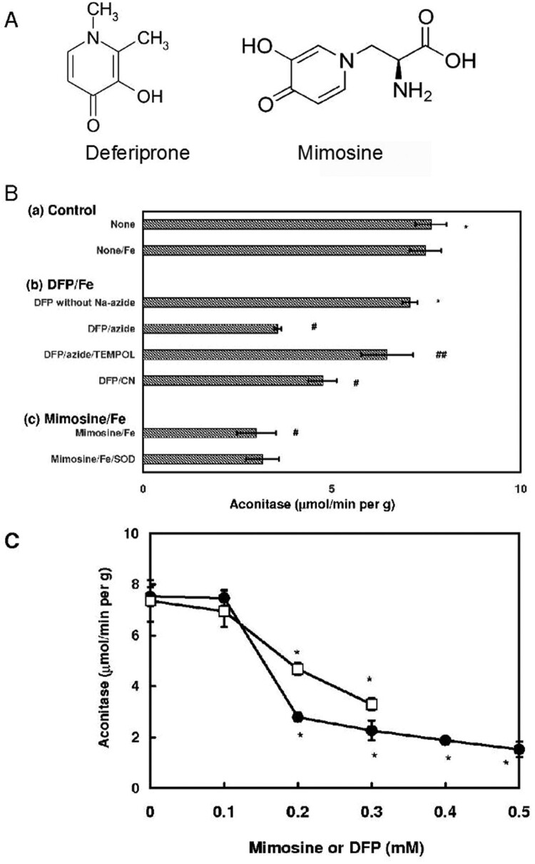 Generation of reactive oxygen species by hydroxypyridone compound/iron complexes.