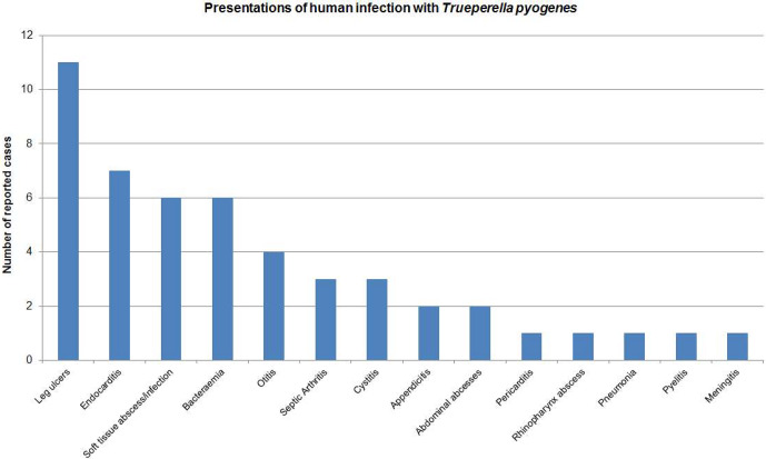 A case of <i>Trueperella pyogenes</i> causing prosthetic joint infection.