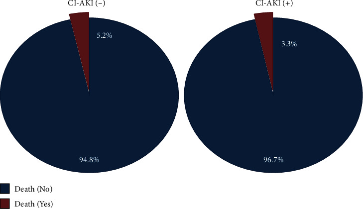 Long-Term Follow-Up of Contrast-Induced Acute Kidney Injury: A Study from a Developing Country.