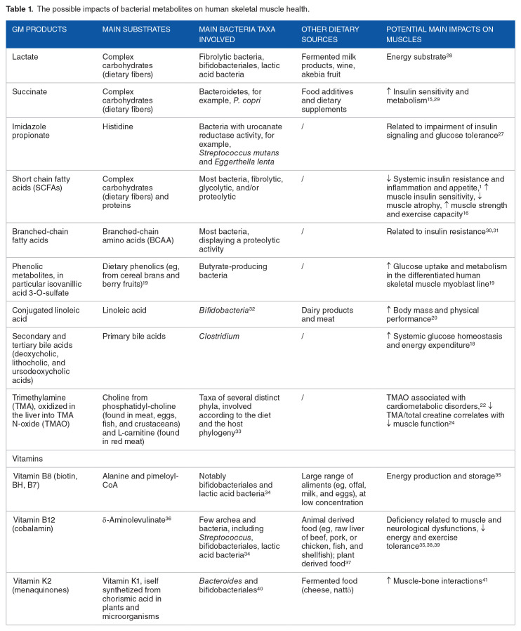 Interactions between gut microbiota and skeletal muscle.