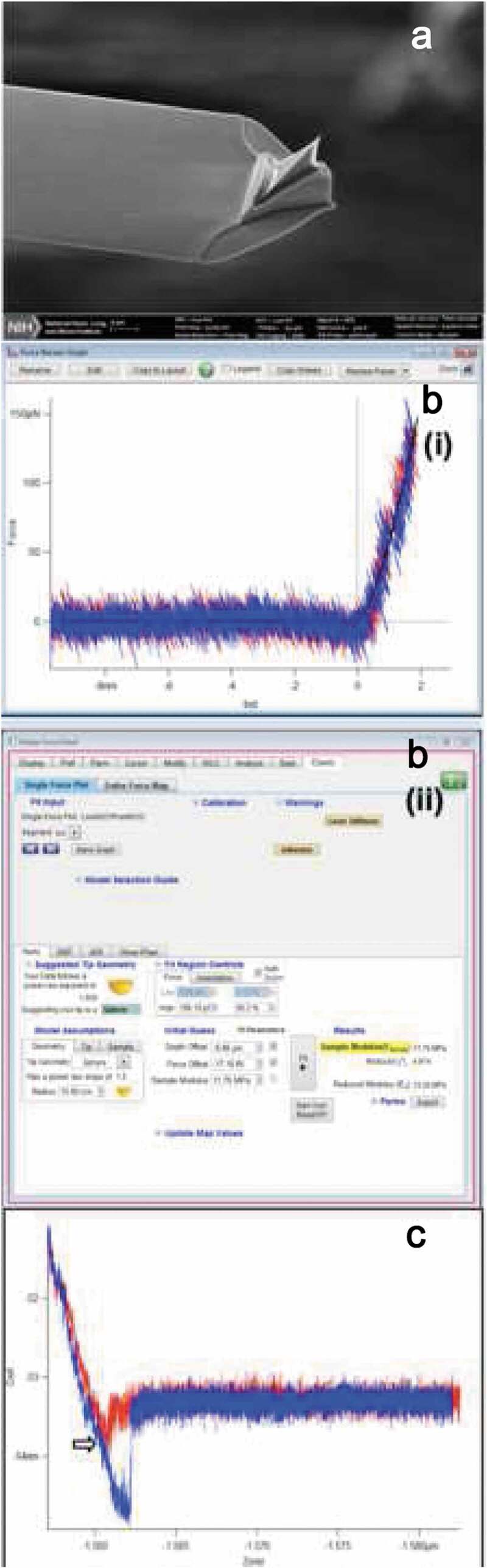 Mechanical properties of nucleoprotein complexes determined by nanoindentation spectroscopy.