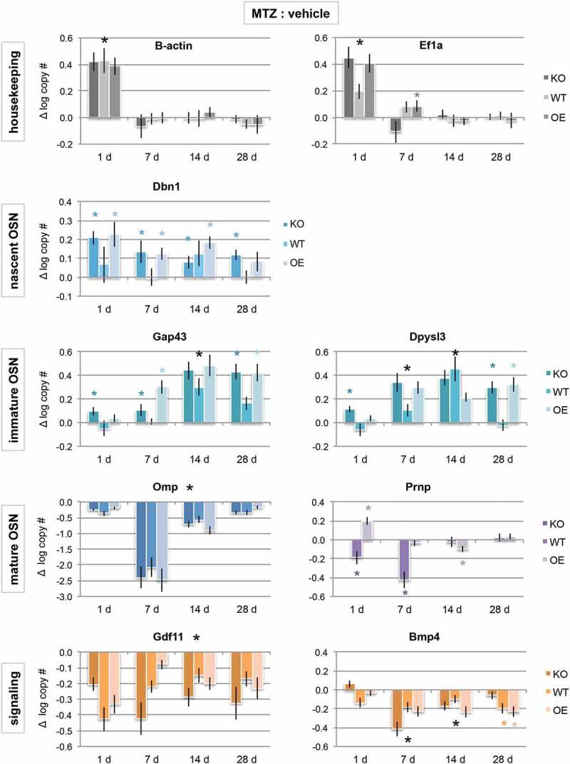 The cellular prion protein promotes neuronal regeneration after acute nasotoxic injury.