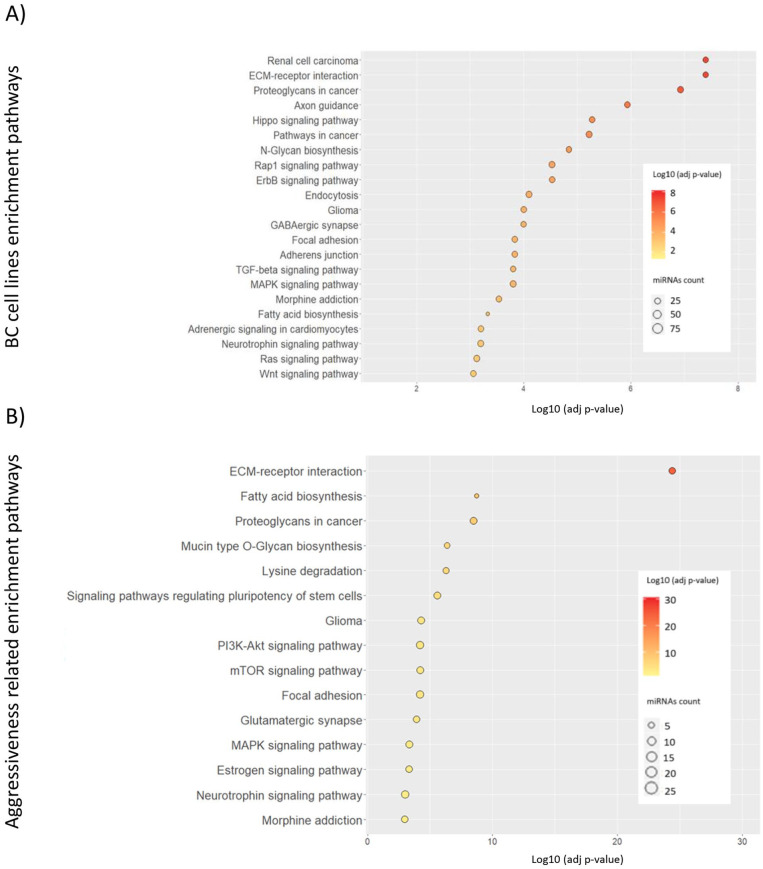 miRNA Expression Analysis: Cell Lines HCC1500 and HCC1937 as Models for Breast Cancer in Young Women and the miR-23a as a Poor Prognostic Biomarker.