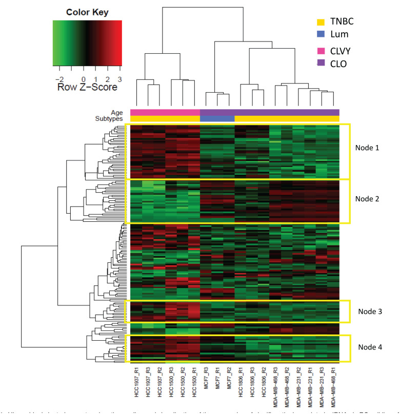 miRNA Expression Analysis: Cell Lines HCC1500 and HCC1937 as Models for Breast Cancer in Young Women and the miR-23a as a Poor Prognostic Biomarker.