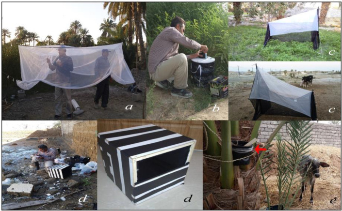 Employing Different Traps for Collection of Mosquitoes and Detection of Dengue, Chikungunya and Zika Vector, <i>Aedes albopictus</i>, in Borderline of Iran and Pakistan.