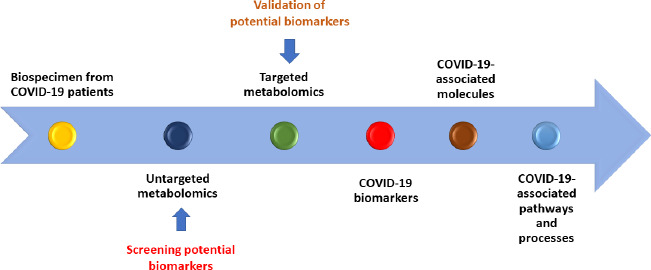 A contemporary insight of metabolomics approach for COVID-19: Potential for novel therapeutic and diagnostic targets.