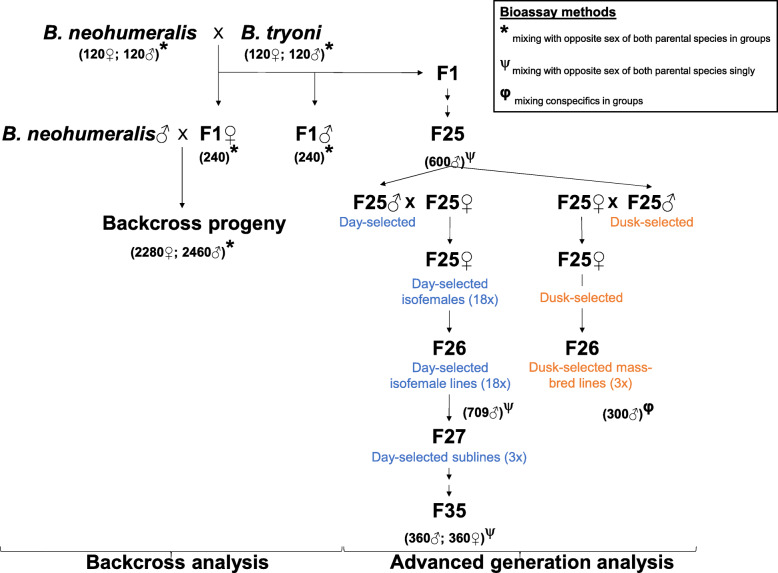 Separating two tightly linked species-defining phenotypes in Bactrocera with hybrid recombinant analysis.