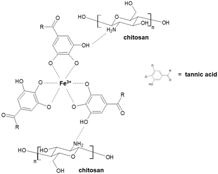 Design, characterization and in vitro evaluation of thin films enriched by tannic acid complexed by Fe(III) ions.