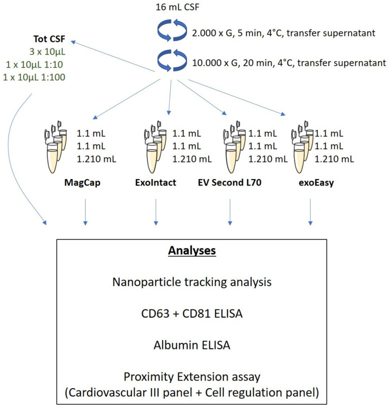 Analysis of Cerebrospinal Fluid Extracellular Vesicles by Proximity Extension Assay: A Comparative Study of Four Isolation Kits.