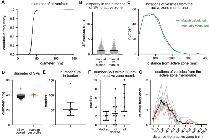 SynapsEM: Computer-Assisted Synapse Morphometry.