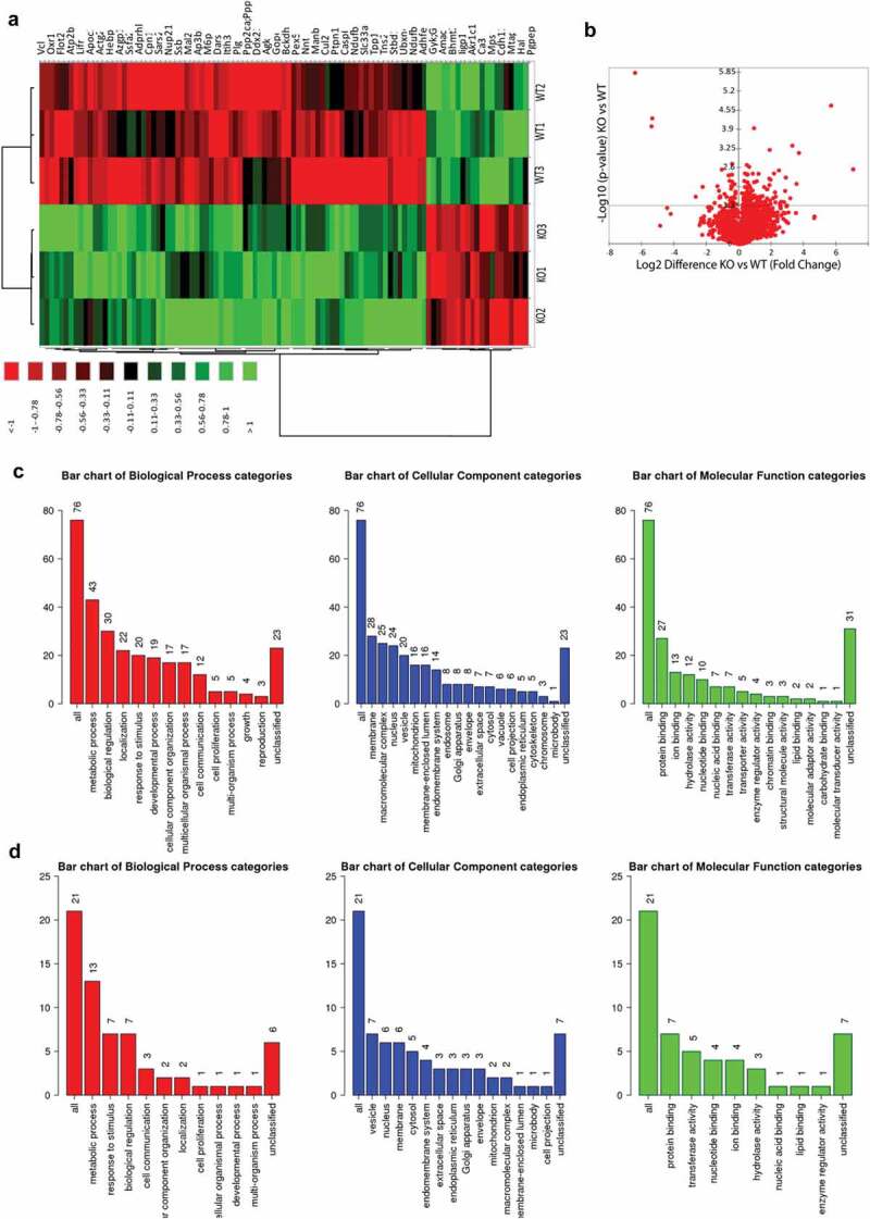 The role of cellular prion protein in lipid metabolism in the liver.