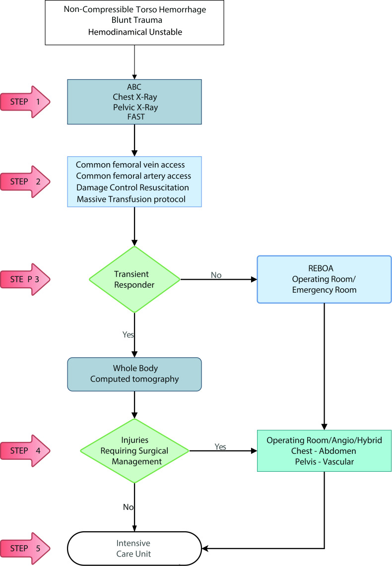 REBOA as a New Damage Control Component in Hemodynamically Unstable Noncompressible Torso Hemorrhage Patients.