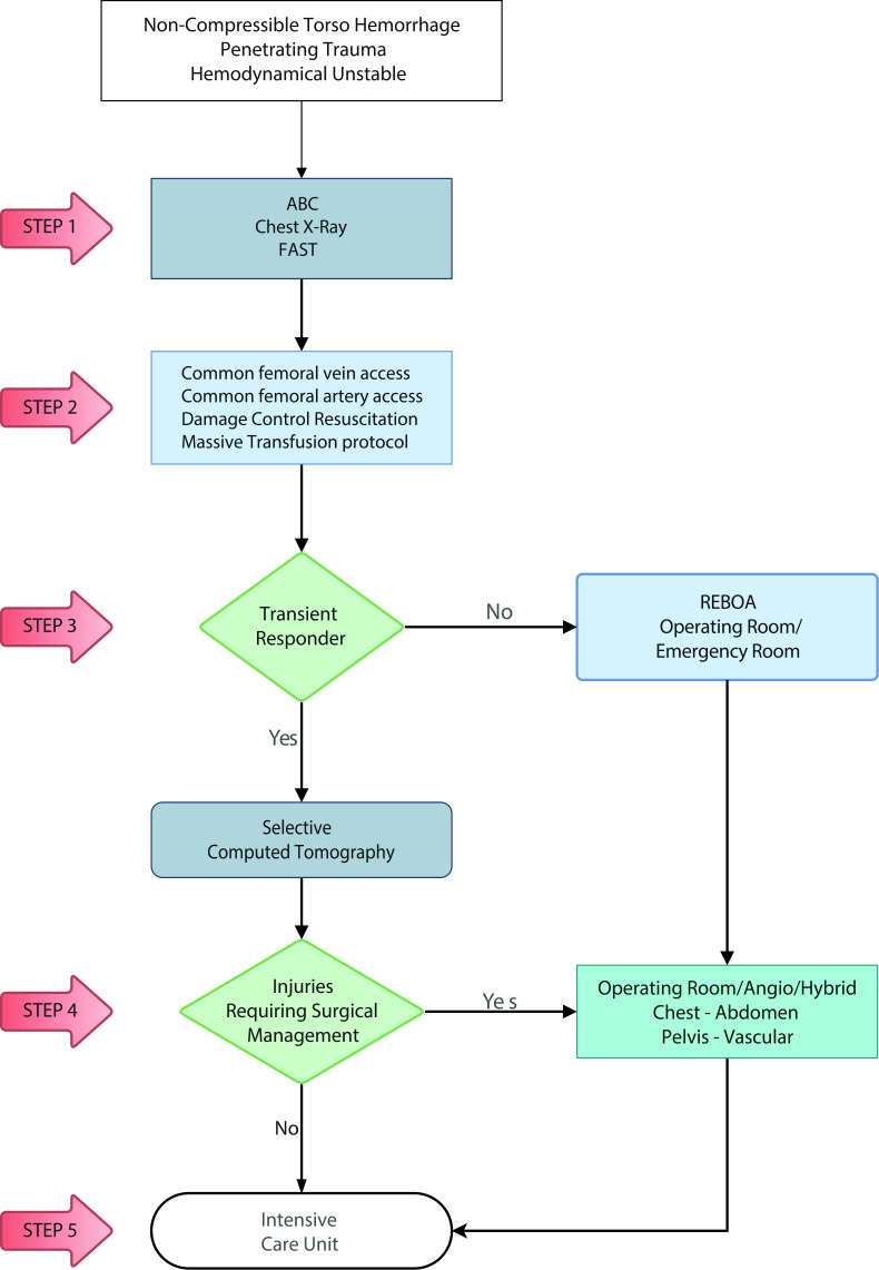 REBOA as a New Damage Control Component in Hemodynamically Unstable Noncompressible Torso Hemorrhage Patients.