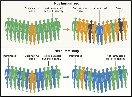 Vaccination Is the Only Acceptable Path to Herd Immunity.