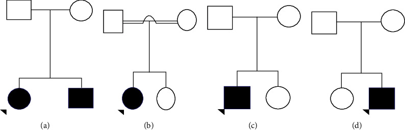 Six Novel ATM Gene Variants in Sri Lankan Patients with Ataxia Telangiectasia.