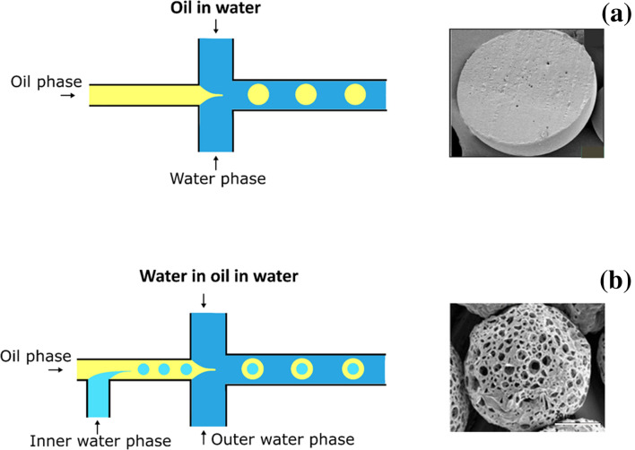 Recent advances in the formulation of PLGA microparticles for controlled drug delivery.