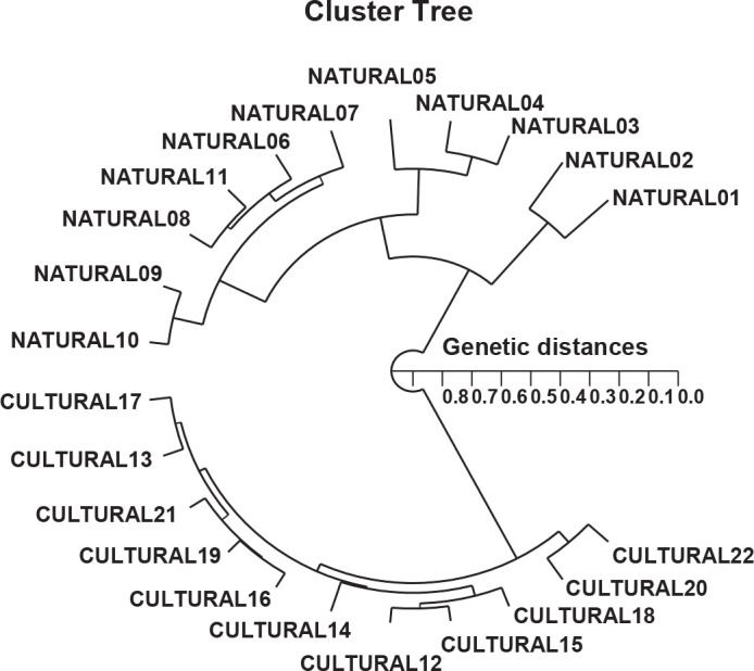 Genetic Differences in Natural and Cultured River Pufferfish Populations by PCR Analysis.