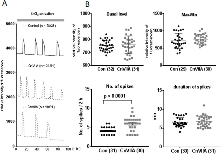 Voltage Dependent N Type Calcium Channel in Mouse Egg Fertilization.