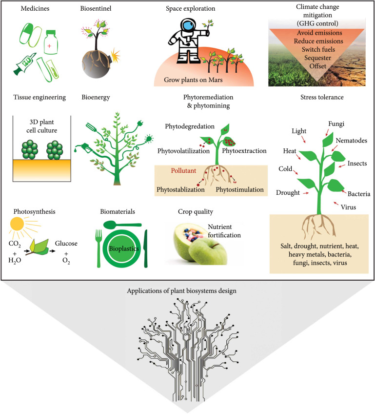 Plant Biosystems Design Research Roadmap 1.0.