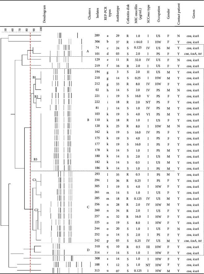 Nasal Carriage by <i>Staphylococcus aureus</i> among Healthcare Workers and Students Attending a University Hospital in Southern Brazil: Prevalence, Phenotypic, and Molecular Characteristics.