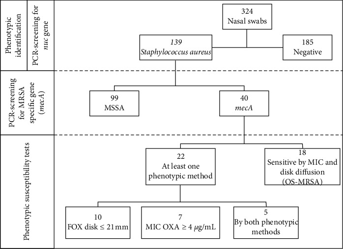 Nasal Carriage by <i>Staphylococcus aureus</i> among Healthcare Workers and Students Attending a University Hospital in Southern Brazil: Prevalence, Phenotypic, and Molecular Characteristics.