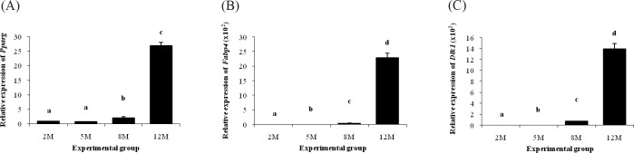 Assessment of Adipocyte Differentiation and Maturation-related Gene Expression in the Epididymal Fat of Estrogen Receptor α Knockout (ERαKO) Mouse during Postnatal Development Period.