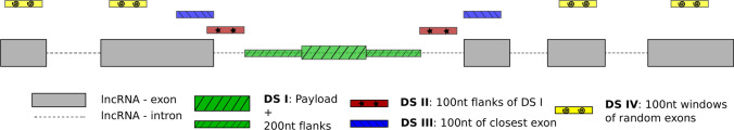 Are spliced ncRNA host genes distinct classes of lncRNAs?