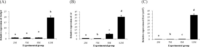 Assessment of Adipocyte Differentiation and Maturation-related Gene Expression in the Epididymal Fat of Estrogen Receptor α Knockout (ERαKO) Mouse during Postnatal Development Period.