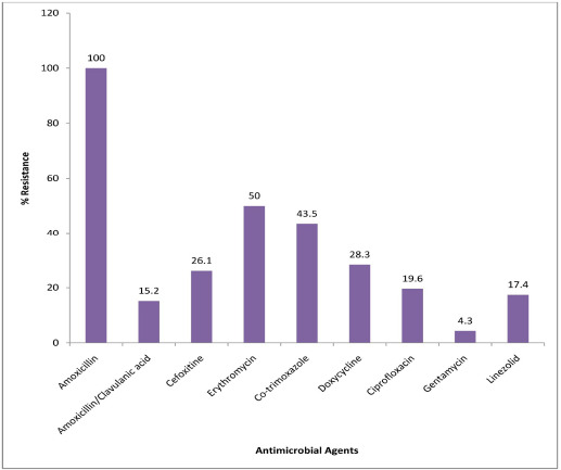 NASAL CARRIAGE OF MULTI-DRUG RESISTANT PANTON VALENTINE LEUKOCIDIN POSITIVE <i>STAPHYLOCOCCUS AUREUS</i> IN HEALTHY INDIVIDUALS OF TUDUN-WADA, GOMBE STATE, NIGERIA.