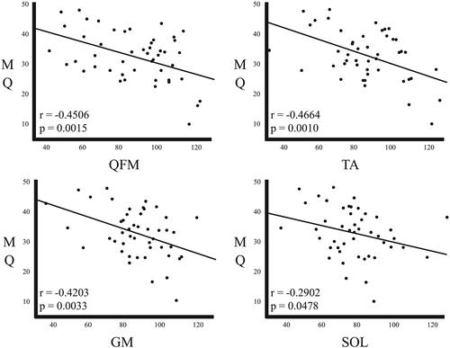 The utility of the ultrasonographic assessment of the lower leg muscles to evaluate sarcopenia and muscle quality in older adults