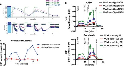 Measuring Mitochondrial Respiration in Previously Frozen Biological Samples