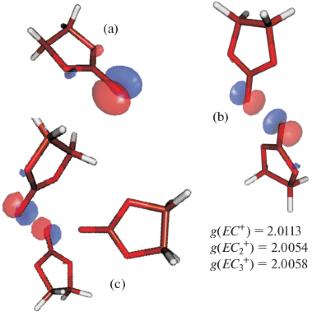 Primary Radical Cations in Irradiated Ethylene Carbonate