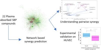 Predicting and understanding synergistic pairwise compound combinations of Shexian Baoxin Pill (SBP) using network biology