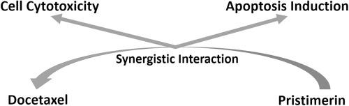 Synergistic anti-cancer effect of pristimerin and docetaxel on human colorectal HCT-116 cells