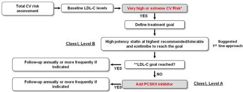 Hypercholesterolemia and cardiovascular disease: Focus on high cardiovascular risk patients